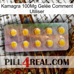 Kamagra 100Mg Gelée Comment Utiliser new11